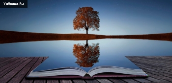 Мудрость и поучения: Что такое полезное знание?